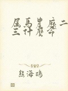属马农历二月十三什么命