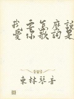 我要怎么说我不爱你歌词是什么歌