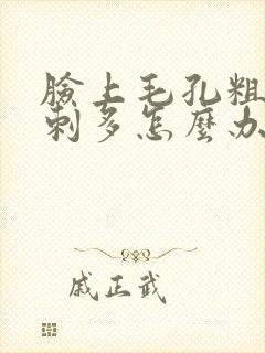脸上毛孔粗大粉刺多怎么办