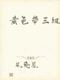 黄色带三级在线