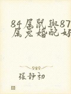 84属鼠与87属兔婚配好不好封面