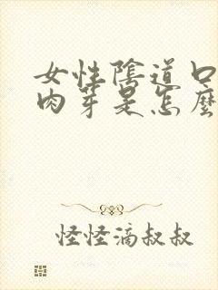 女性阴道口长小肉芽是怎么回事