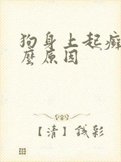 狗身上起癣是什么原因