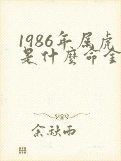 1986年属虎是什么命金木水火土