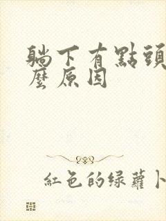 躺下有点头晕什么原因封面