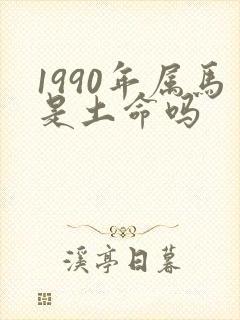 1990年属马是土命吗