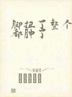 脚扭了整个脚面都肿了封面