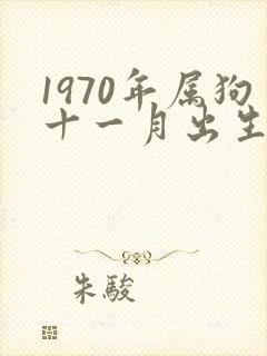 1970年属狗十一月出生好不好封面