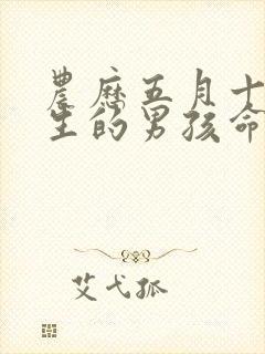 农历五月十三出生的男孩命运如何