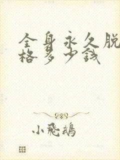 全身永久脱毛价格多少钱