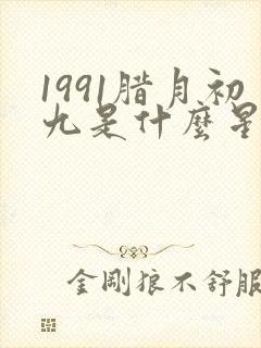 1991腊月初九是什么星座的
