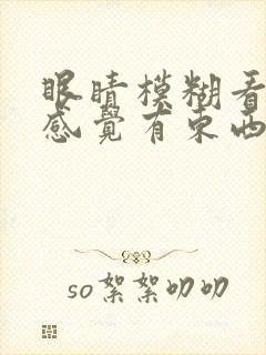 眼睛模糊看不清感觉有东西是怎么回事