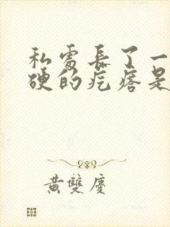 私处长了一个硬硬的疙瘩是怎么回事封面