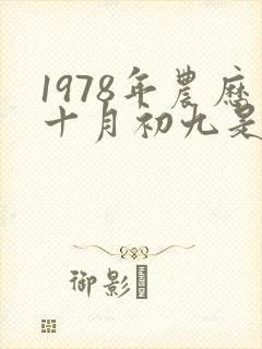 1978年农历十月初九是什么命封面