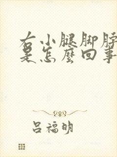 右小腿脚脖子肿是怎么回事