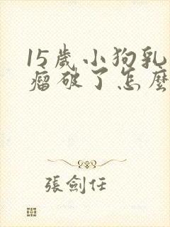 15岁小狗乳腺瘤破了怎么办封面