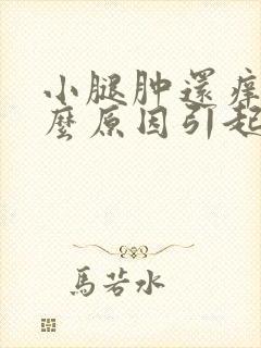 小腿肿还痒是什么原因引起的