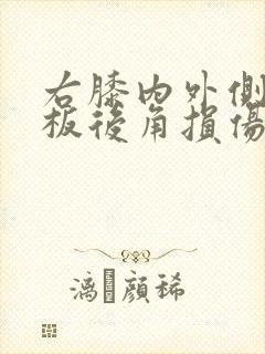 右膝内外侧半月板后角损伤1度封面