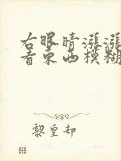 右眼睛涨涨的,看东西模糊