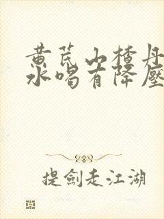 黄芪山楂丹参泡水喝有降压作用吗