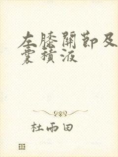 左膝关节及髌上囊积液