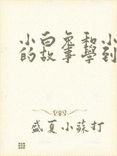 小白兔和小灰兔的故事学到了什么