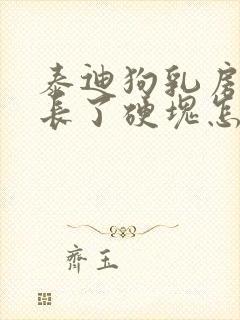 泰迪狗乳房旁边长了硬块怎么办