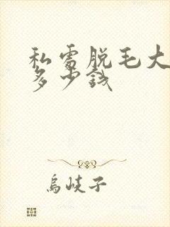 私处脱毛大概要多少钱