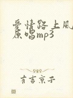 爱情路上风雨多原唱mp3