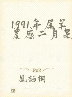 1991年属羊农历二月是什么命