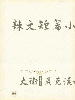 辣文短篇小说