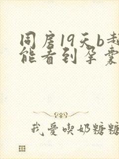 同房19天b超能看到孕囊吗