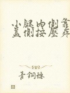 小腿内侧靠近膝盖侧按压疼痛
