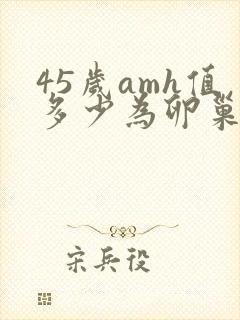 45岁amh值多少为卵巢衰退