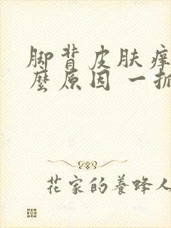 脚背皮肤痒是什么原因 一抓就非常痒