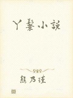 丫鬟小说
