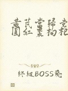 黄芪当归党参桂圆红枣枸杞茶的功效