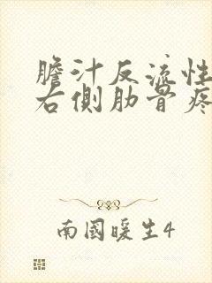 胆汁反流性胃炎右侧肋骨疼吗封面