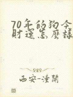 70年的狗今天财运怎么样
