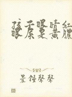 孩子眼睛红痒有眼屎是黄脓状封面