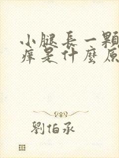 小腿长一颗颗很痒是什么原因