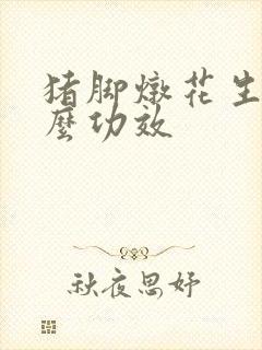 猪脚炖花生有什么功效封面