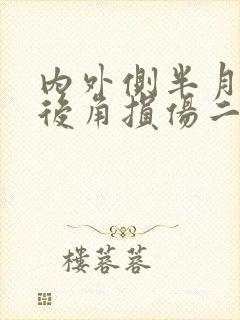 内外侧半月板前后角损伤二度
