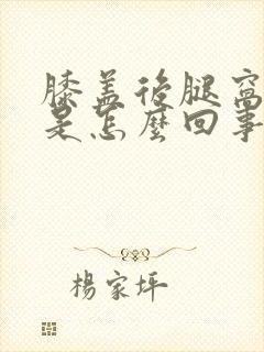 膝盖后腿窝出汗是怎么回事封面