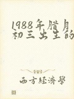 1988年腊月初三出生的人命运