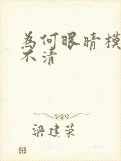 为何眼睛模糊看不清