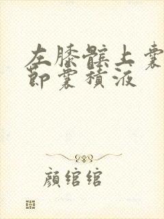 左膝髌上囊及关节囊积液