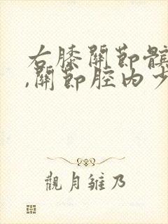 右膝关节髌上囊,关节腔内少量积液