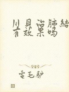川贝治肺结节吗有效果吗