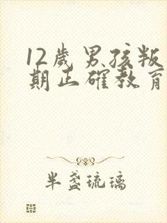 12岁男孩叛逆期正确教育方法